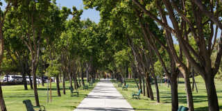 Avalon West Dublin Gallery 69