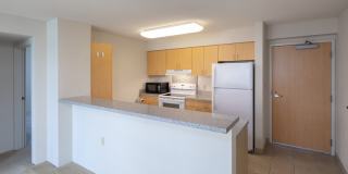 1315 Kalakaua Ave #1911 Gallery 4