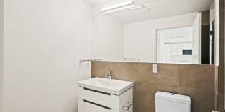 Harvard Hall Gallery 29