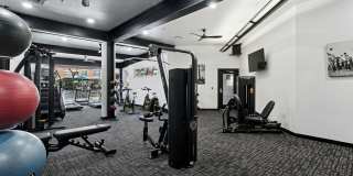 5225 Maple Avenue Gallery 23