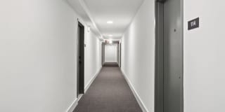 Horizon Gallery 262