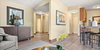 Lake Pointe Gallery 5