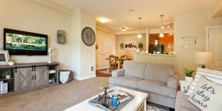 Pine Valley Ranch Gallery 28