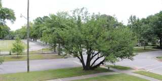 303 King Street Gallery 14