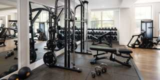 Avalon at Chestnut Hill Gallery 29