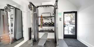 The Meadows Gallery 20