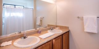 Galeria De Coronado Gallery 11