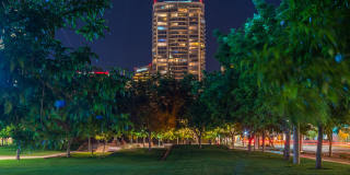 44 Monroe Gallery 28