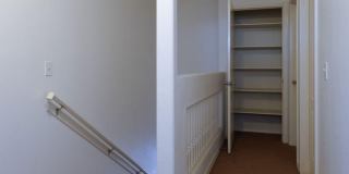 10736 Canyon Sage Drive Gallery 18