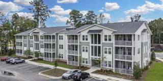 Waterleaf at Salt Creek Gallery 23