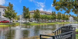 Northbridge on Millenia Lake Gallery 5