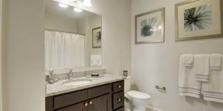 The Royal Belmont Gallery 13