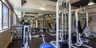 Rock Ridge Apartments Gallery 16