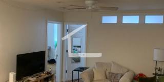 Nicely updated 3 bed near Coolidge Corner and BU! Gallery 11