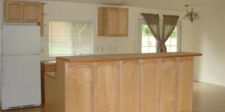 Charming 3 Bed 1.75 Bath Home in Bellevue Gallery 4