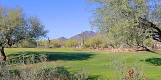 6894 E THIRSTY CACTUS Lane Gallery 47