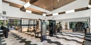 Broadstone Vega Gallery 6