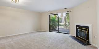 Bethesda Gallery 15