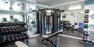 Park Place Gallery 5