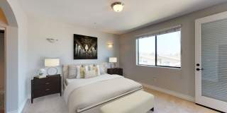 Vista Paradiso Gallery 11