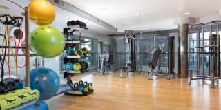 The Standard The Standard Gallery 5