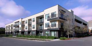 36 Comal Street Gallery 8