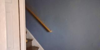 487 Chalmers Gallery 8