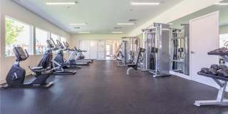 16854 Muscatel Gallery 8