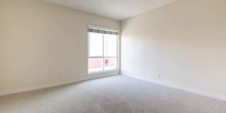 Marina 41 Gallery 62