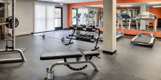 The Woods of Burnsville Gallery 35