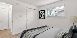 The Woods Gallery 1