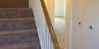 Westbury Park Gallery 39