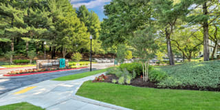 Columbia Glade Gallery 46