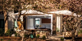 Sharon Green Gallery 33