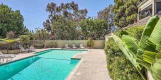 3253 Caminito Eastbluff Gallery 28