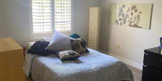 Fully Furnished Walk-In Ready in Scottsdale Gallery 23