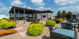 Virage Gallery 11