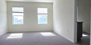 31375 PENNY SURF LOOP Gallery 16