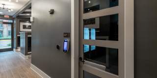 Citron at the Packing District Gallery 65