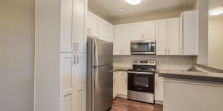 Woodland Meadow Gallery 22