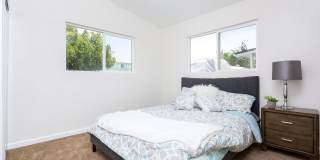 534 Jeffree Street Gallery 20