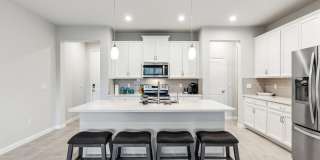 Spacious 3BR Townhome in Lutz Gallery 4