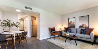 Avani North Tucson Gallery 3