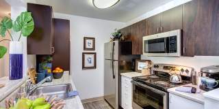 Signature Pointe Gallery 10