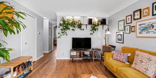 924 Lutz Avenue Gallery 5