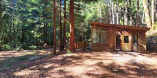 Cabin In the Wood! Gallery 1