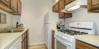 Spacious + Bright 1 Bedroom in Capitol Hill! Gallery 14