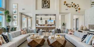 Napa Oaks Gallery 17