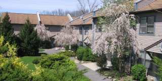 Forest Edge Townhomes- 1 month Rent Free! Gallery 1