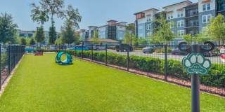 Century Town Center Gallery 16